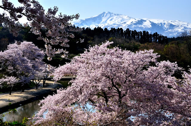 画像：勢至公園