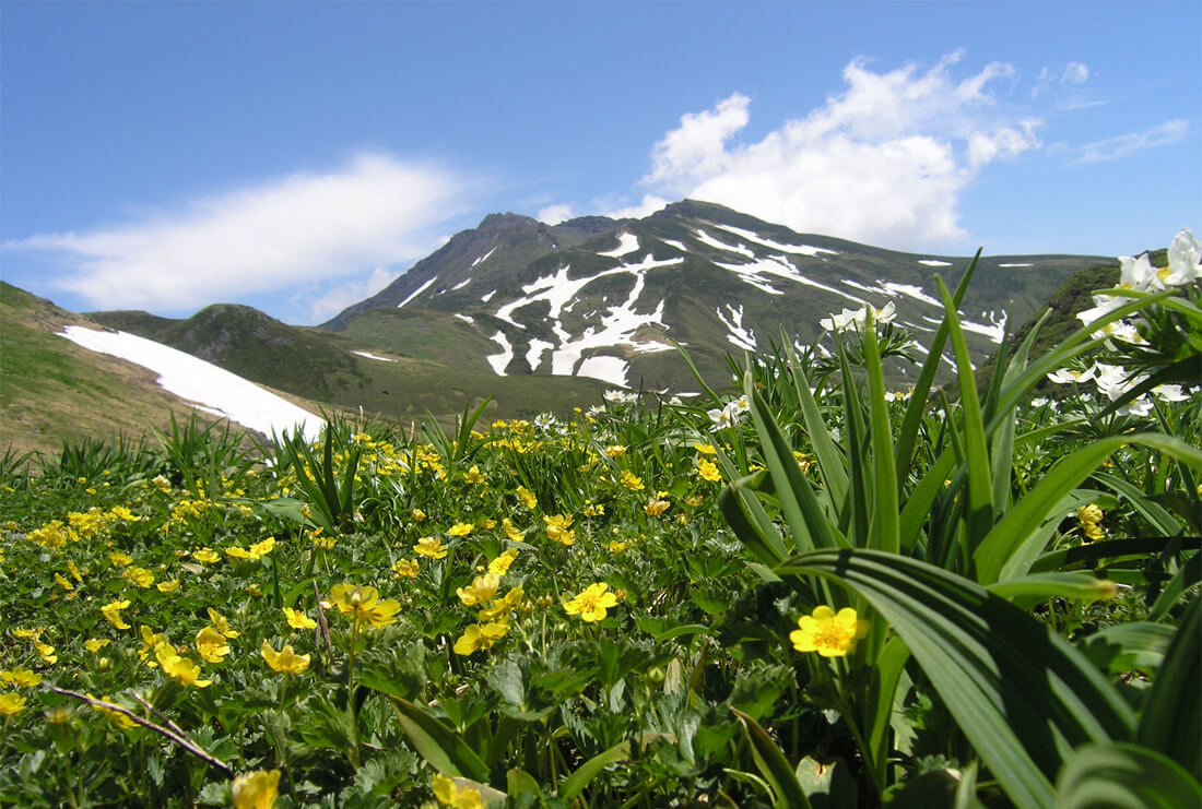 画像：鳥海山